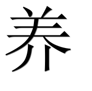 Иероглиф 养