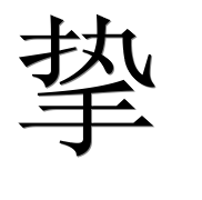 Иероглиф 挚