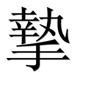 Иероглиф 摯
