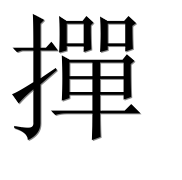 Иероглиф 撣