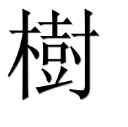 Иероглиф 樹