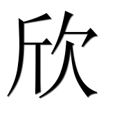 Иероглиф 欣