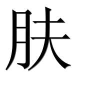 Иероглиф 肤