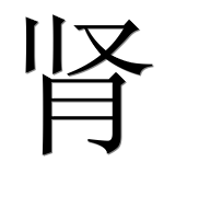 Иероглиф 肾