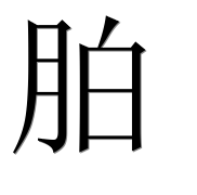 Иероглиф 胉