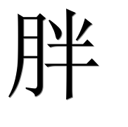 Иероглиф 胖