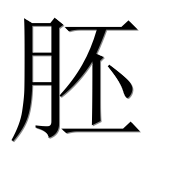 Иероглиф 胚