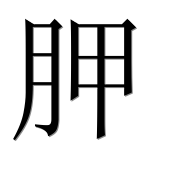 Иероглиф 胛