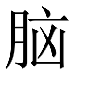 Иероглиф 脑