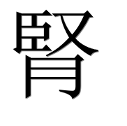 Иероглиф 腎