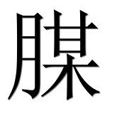 Иероглиф 腜