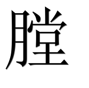 Иероглиф 膛