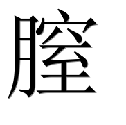 Иероглиф 膣
