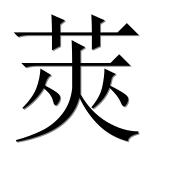 Иероглиф 莢