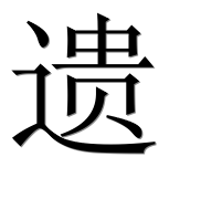 Иероглиф 遗