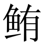 Иероглиф 鲔