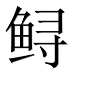 Иероглиф 鲟