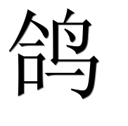Иероглиф 鸽